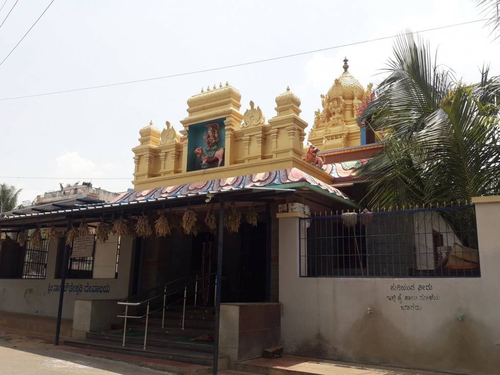 Reputed Max Sunflower