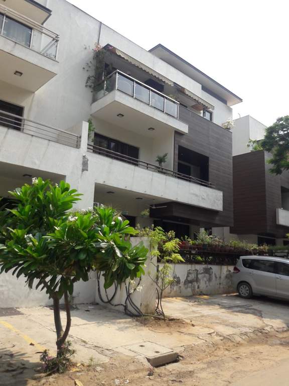 PGRG Promoters PGRG G 33