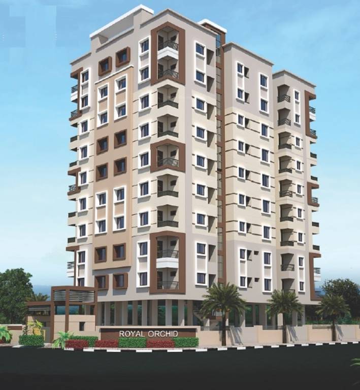  royal orchid Elevation