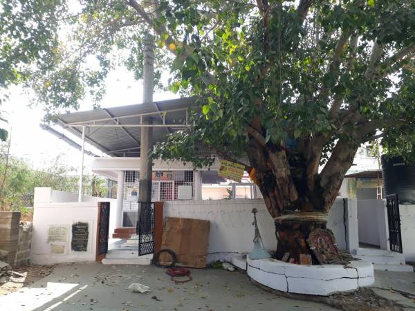 mainOther of BS BS Residency