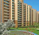 Elevation residency Elevation