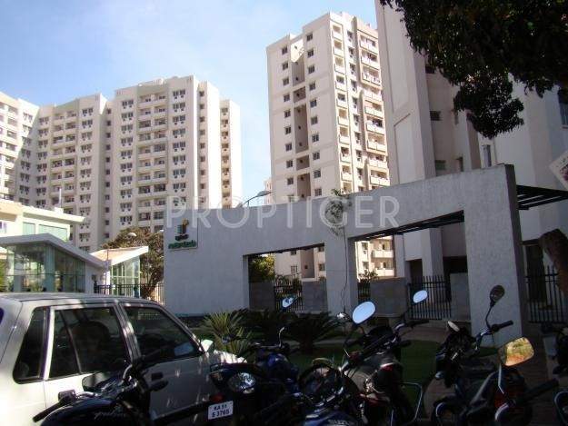  gardenia Images for Elevation of Brigade Gardenia