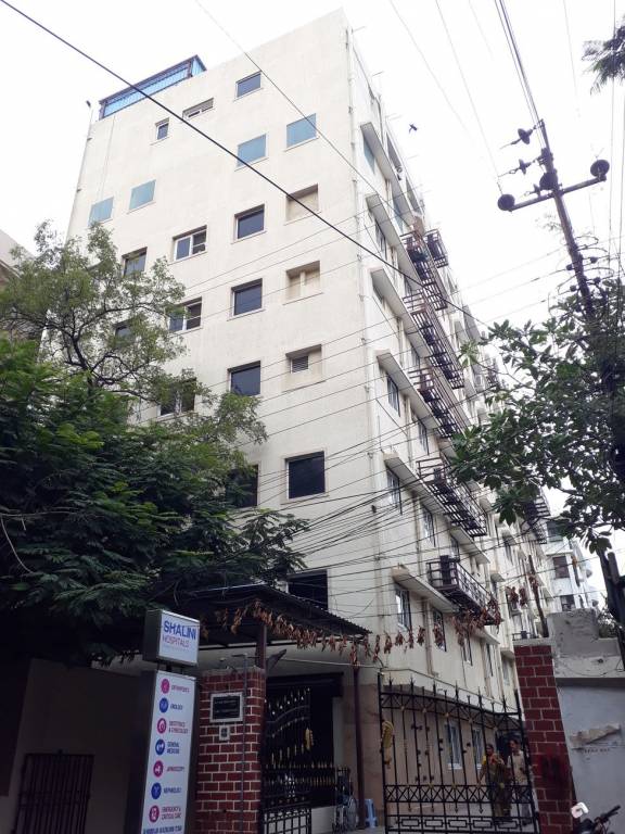 Eternal Eternal Pearl