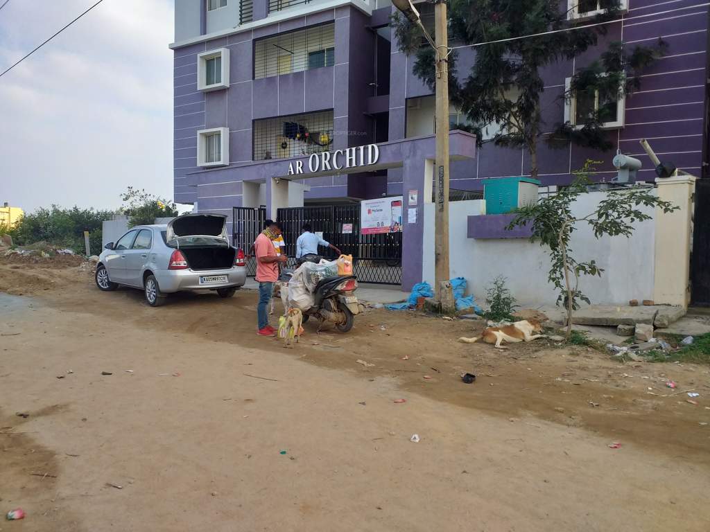  ar signature orchid springs Elevation