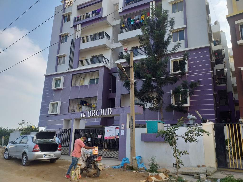  ar signature orchid springs Elevation