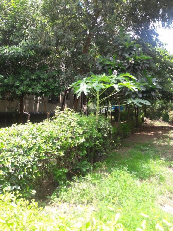 Jamia Associates Jamia Homes 2