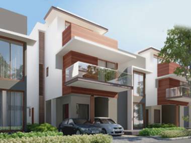 dummy-Jindal Realty Ivy