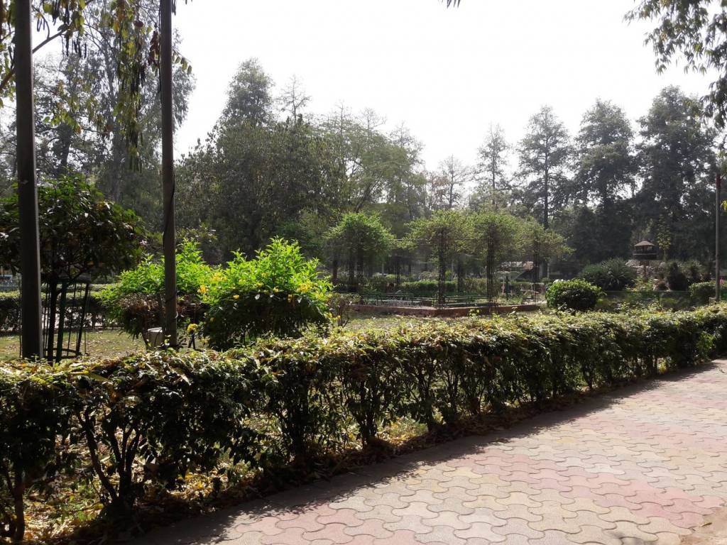 NZ Associate NZ Associate Project 4