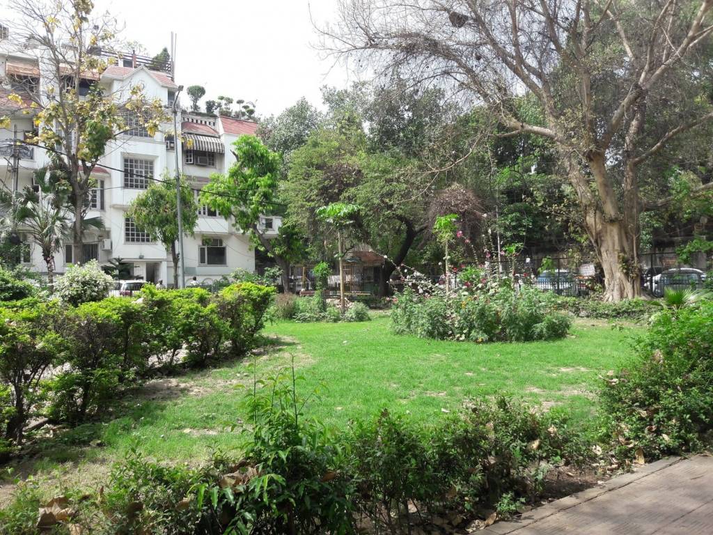 NZ Associate NZ Associates Project 6