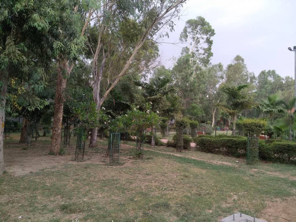 Bindra Properties Bindra Floors II