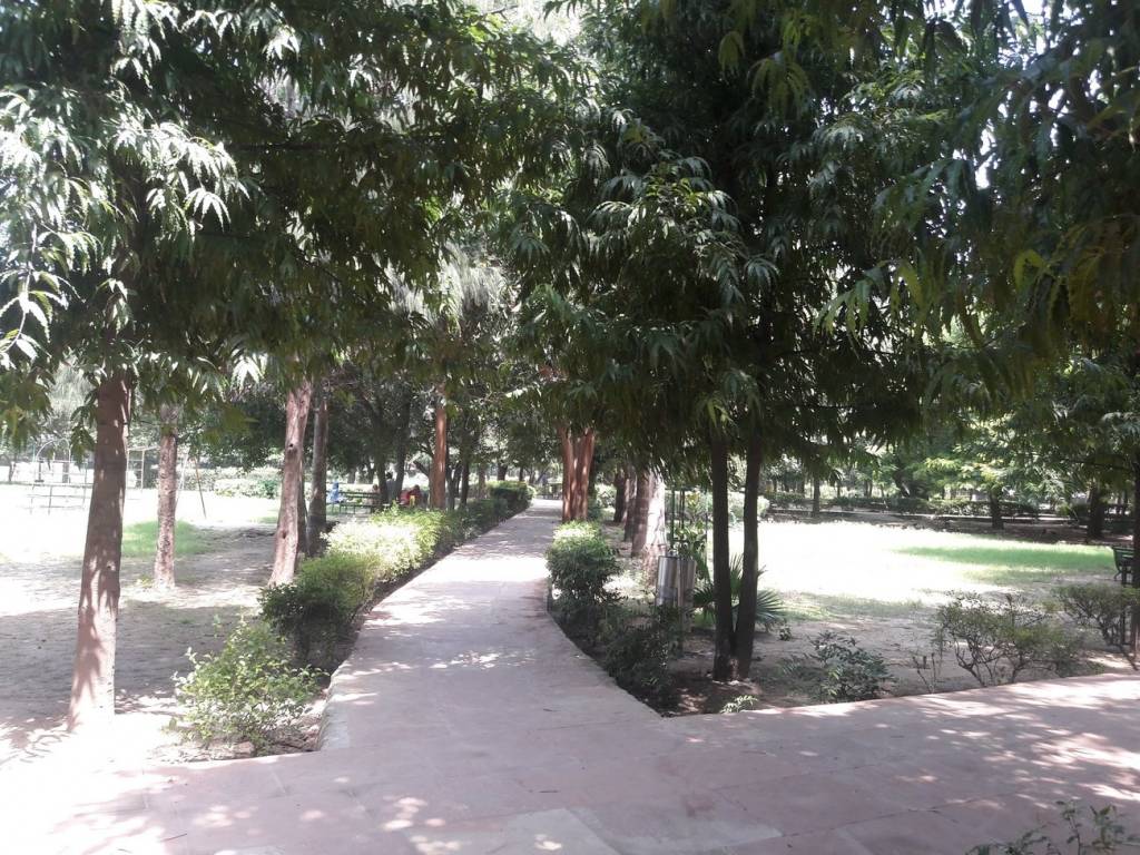 Bindra Properties Bindra Floors   VIII