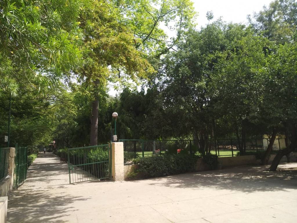 Bindra Properties Bindra Floors   VIII