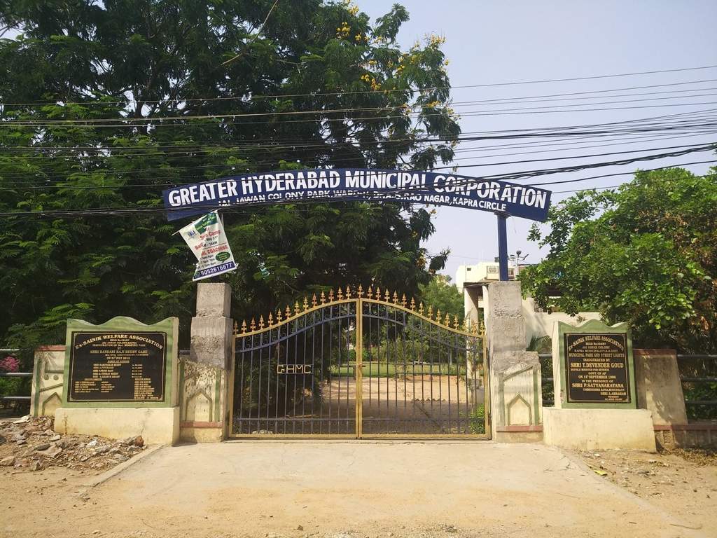 SL Sneha SL Sneha Maple Height