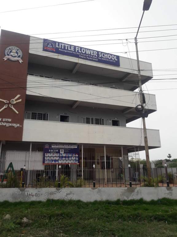 SL Sneha SL Sneha Maple Height