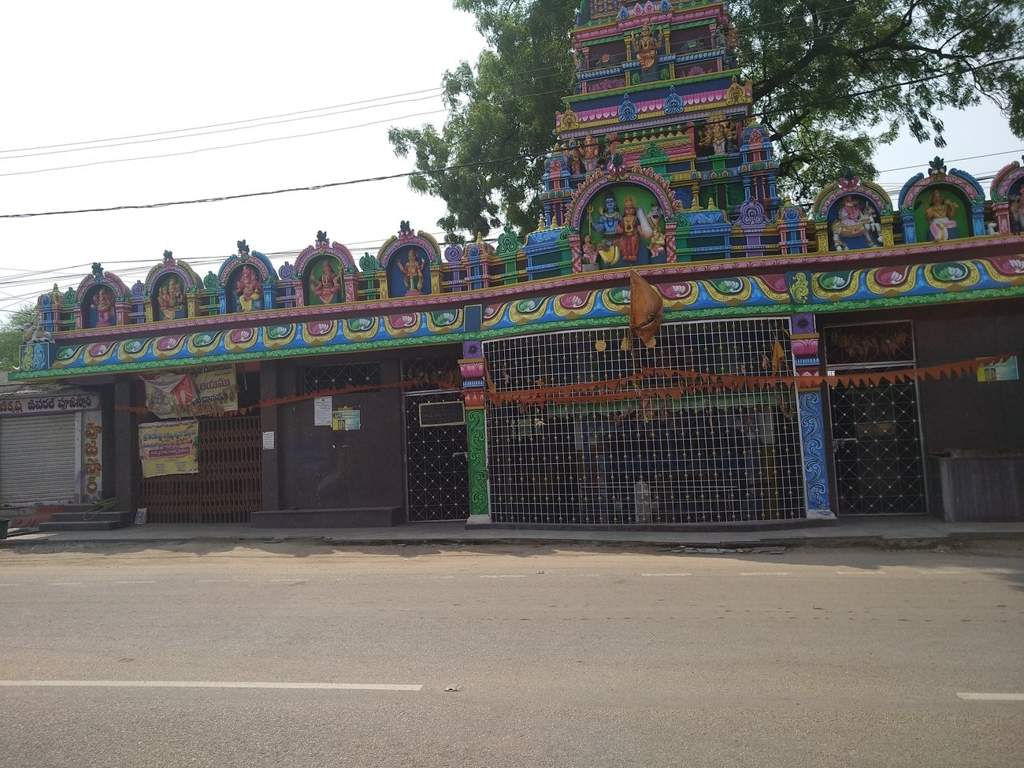 SL Sneha SL Sneha Maple Height