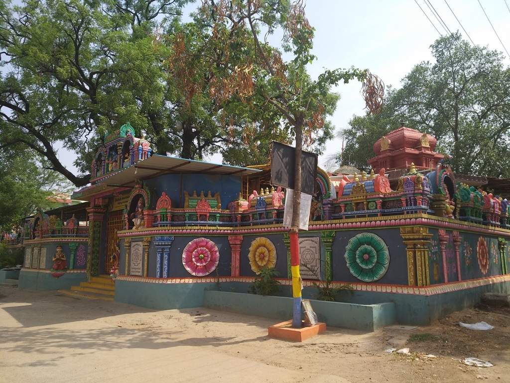 SL Sneha SL Sneha Maple Height