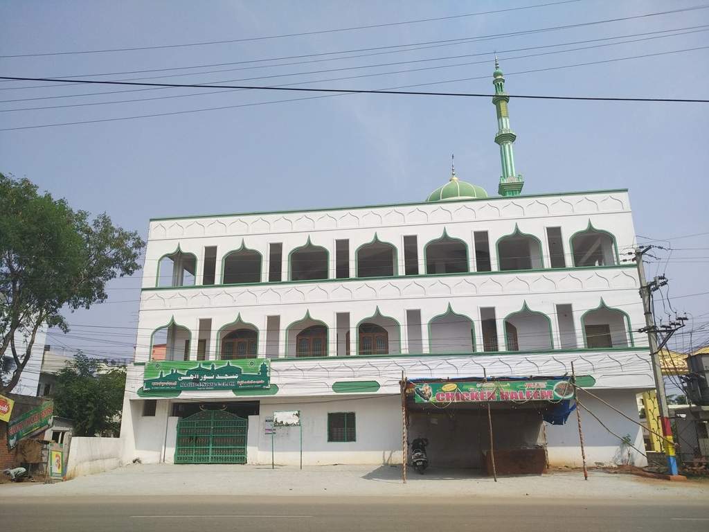 SL Sneha SL Sneha Maple Height