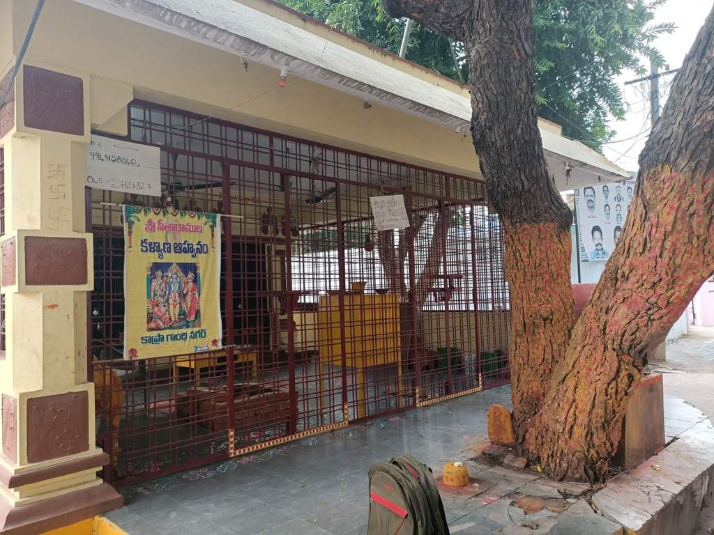 SL Sneha SL Sneha Maple Height