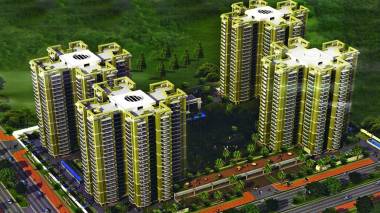 dummy-Kbnows Society KBNOWS Purple