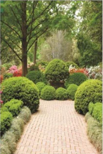  triveni grand Jogging Track