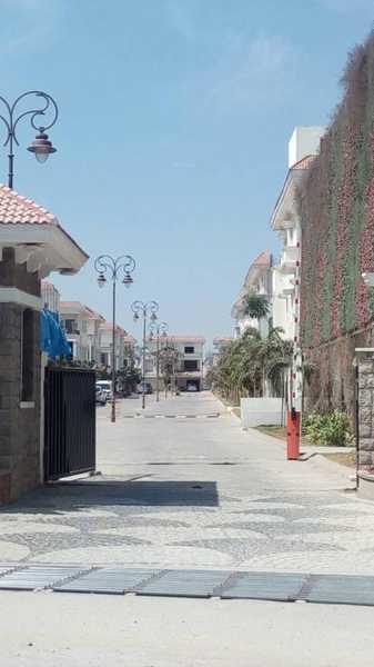  shanoor-cyber-meadows Others