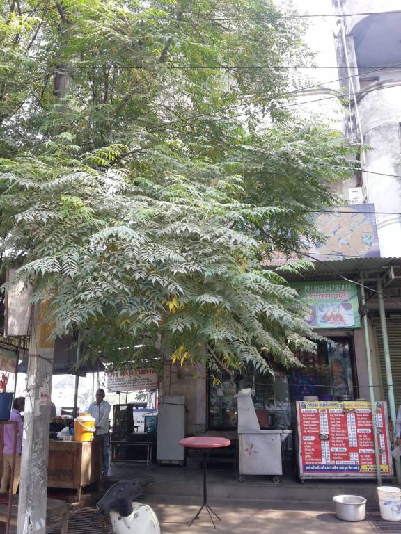 Abhidev Infra Pvt Ltd Abhidev Homes 120