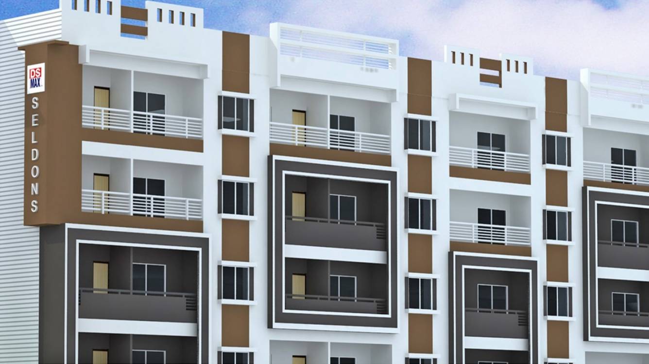 DS Max DS Max Seldons