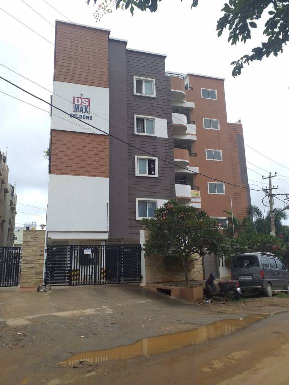 DS Max DS Max Seldons