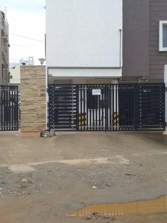 DS Max DS Max Seldons