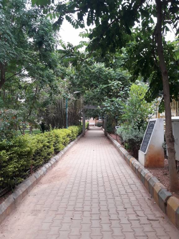 DS Max DS Max Seldons