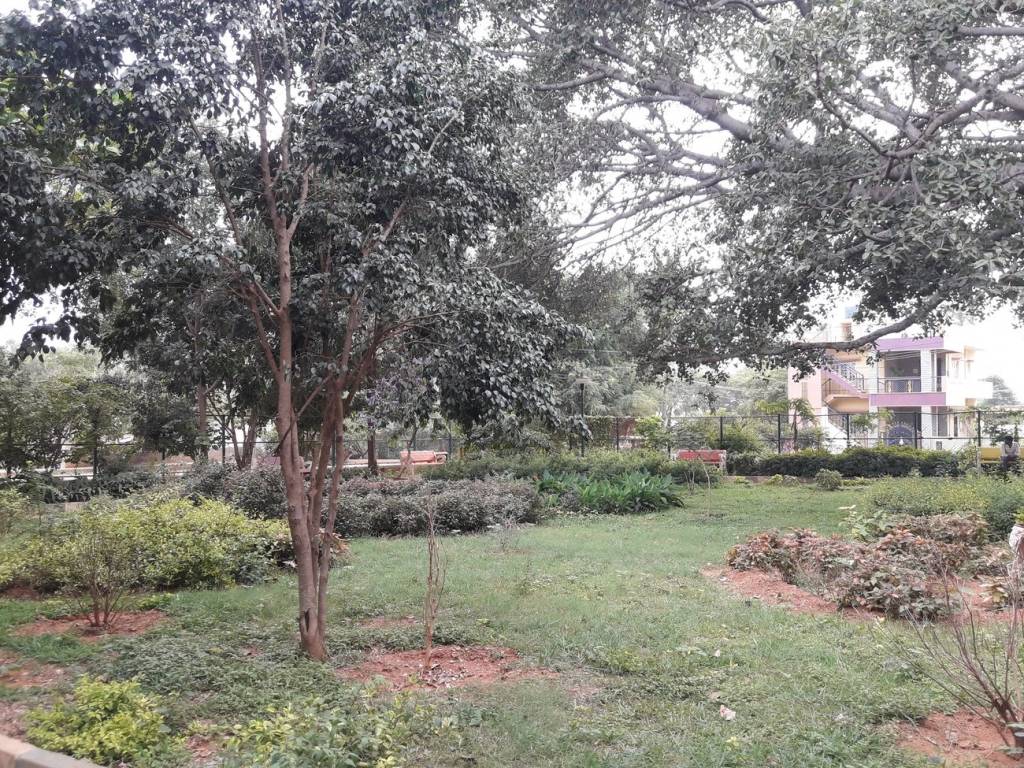 DS Max DS Max Seldons