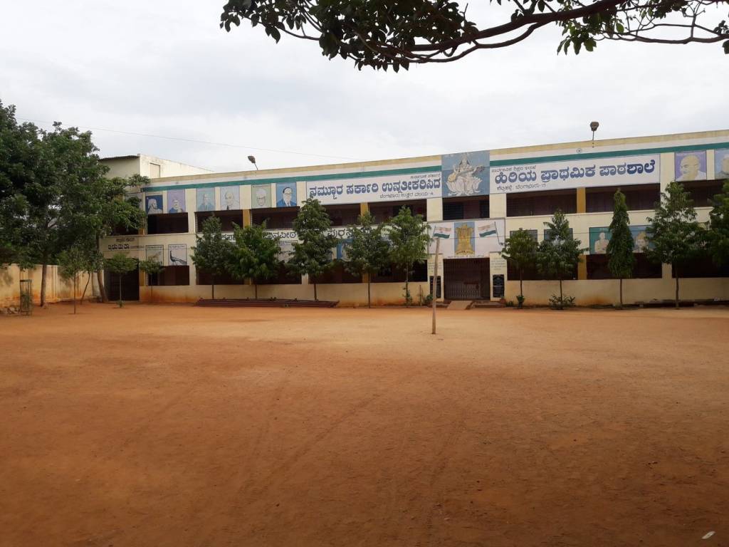 DS Max DS Max Seldons