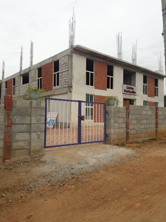 DS Max DS Max Seldons