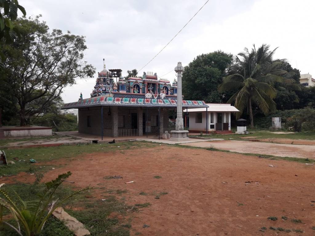 DS Max DS Max Seldons