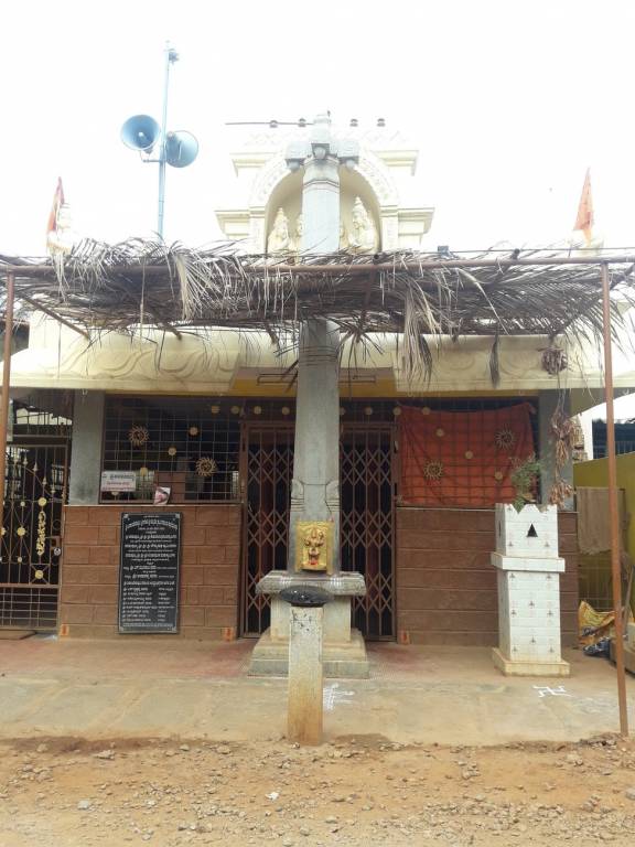 DS Max DS Max Seldons