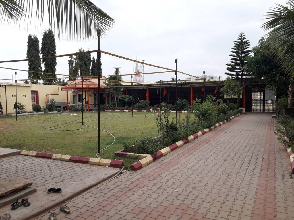 DS Max DS Max Seldons