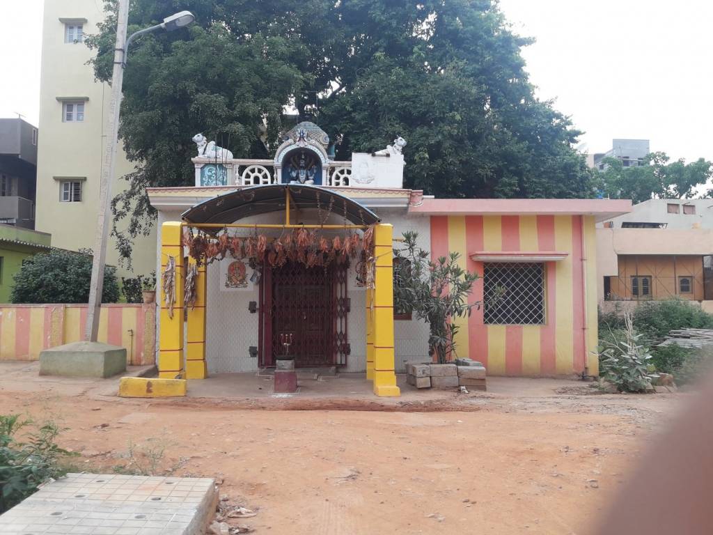 DS Max DS Max Seldons