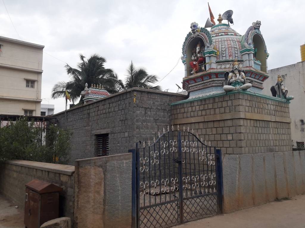 DS Max DS Max Seldons