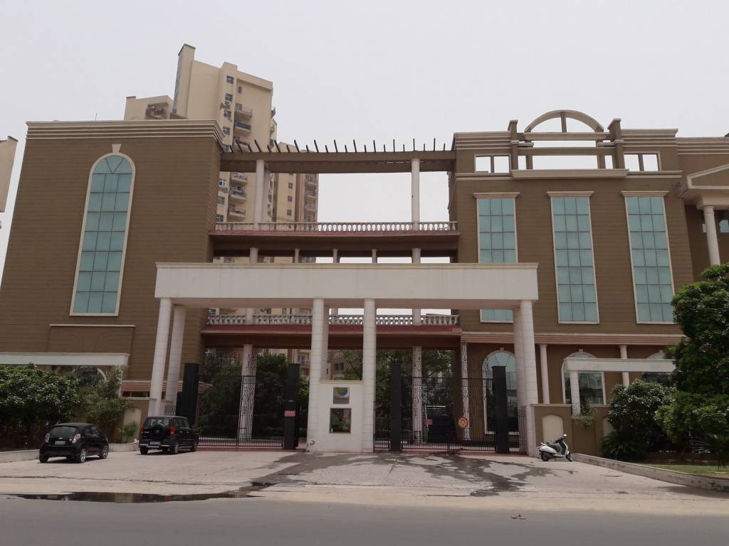 Pioneer Pioneer Floors   5