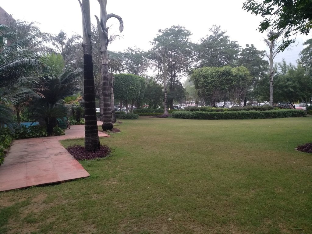 Pioneer Pioneer Floors 3