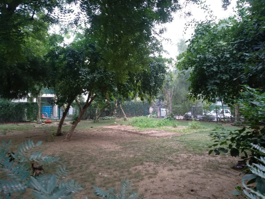 Pioneer Pioneer Floors 3