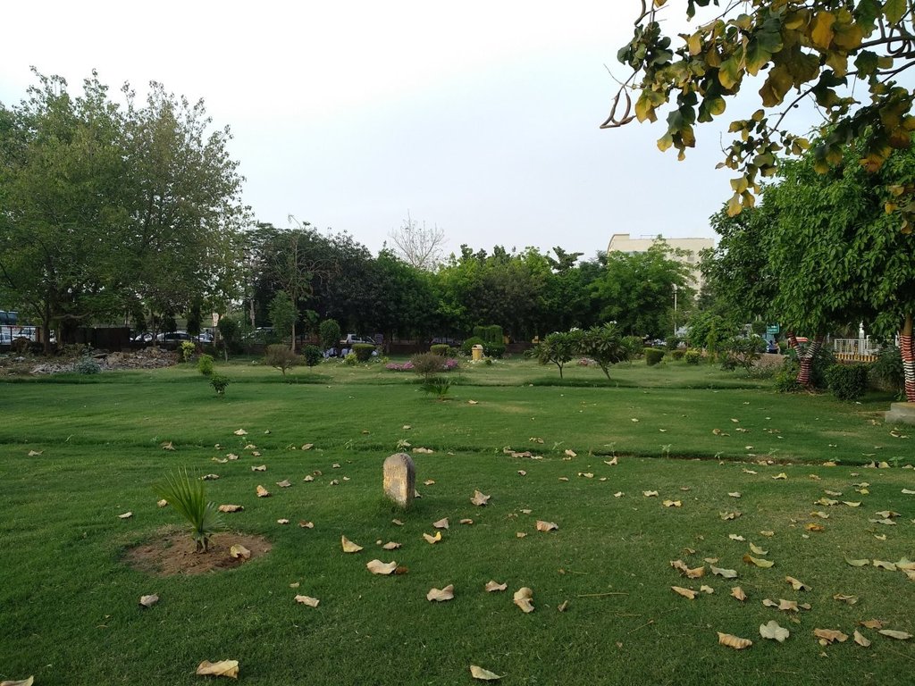 Pioneer Pioneer Floors 3