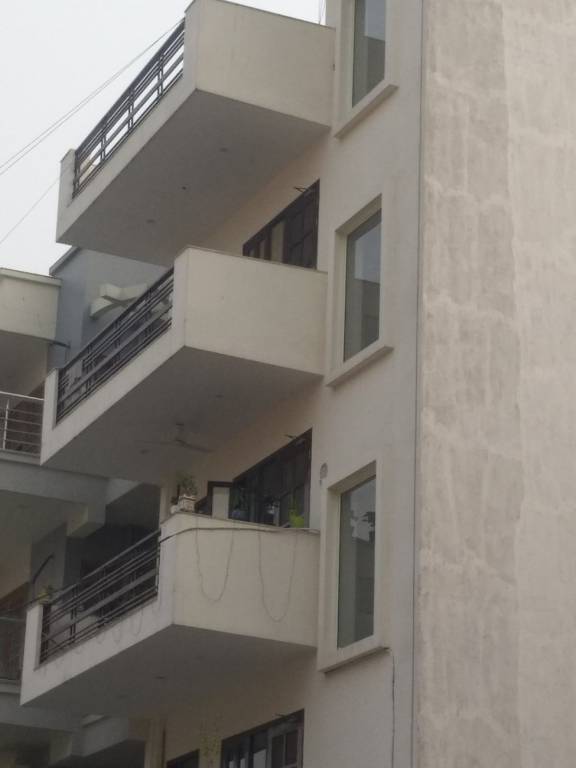 Pioneer Pioneer Floors   8