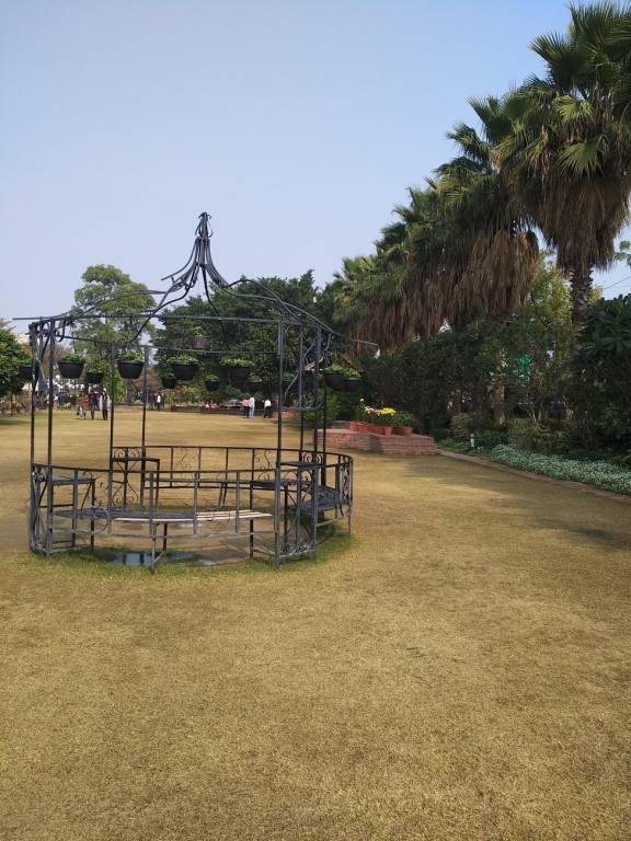 Pioneer Pioneer Floors   8