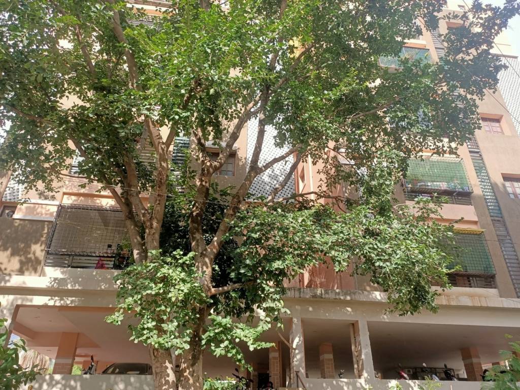 Happy Home Housing Happy Home Habitat