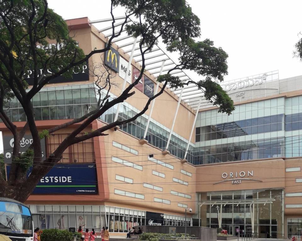 Elegant Elegant Daffodils