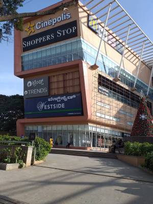 mainOther of Elegant Elegant Daffodils