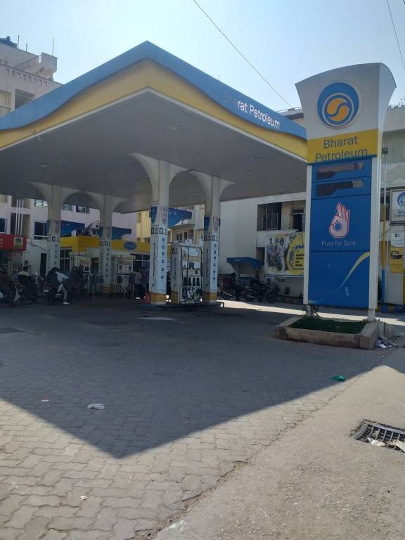 Elegant Elegant Daffodils