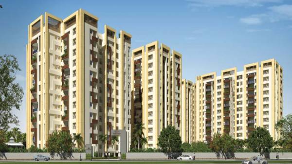  golden-lotus Elevation