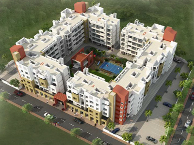 dummy Winsome Group Orrchid Royal